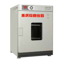 精密鼓風干燥箱烘箱 dhg